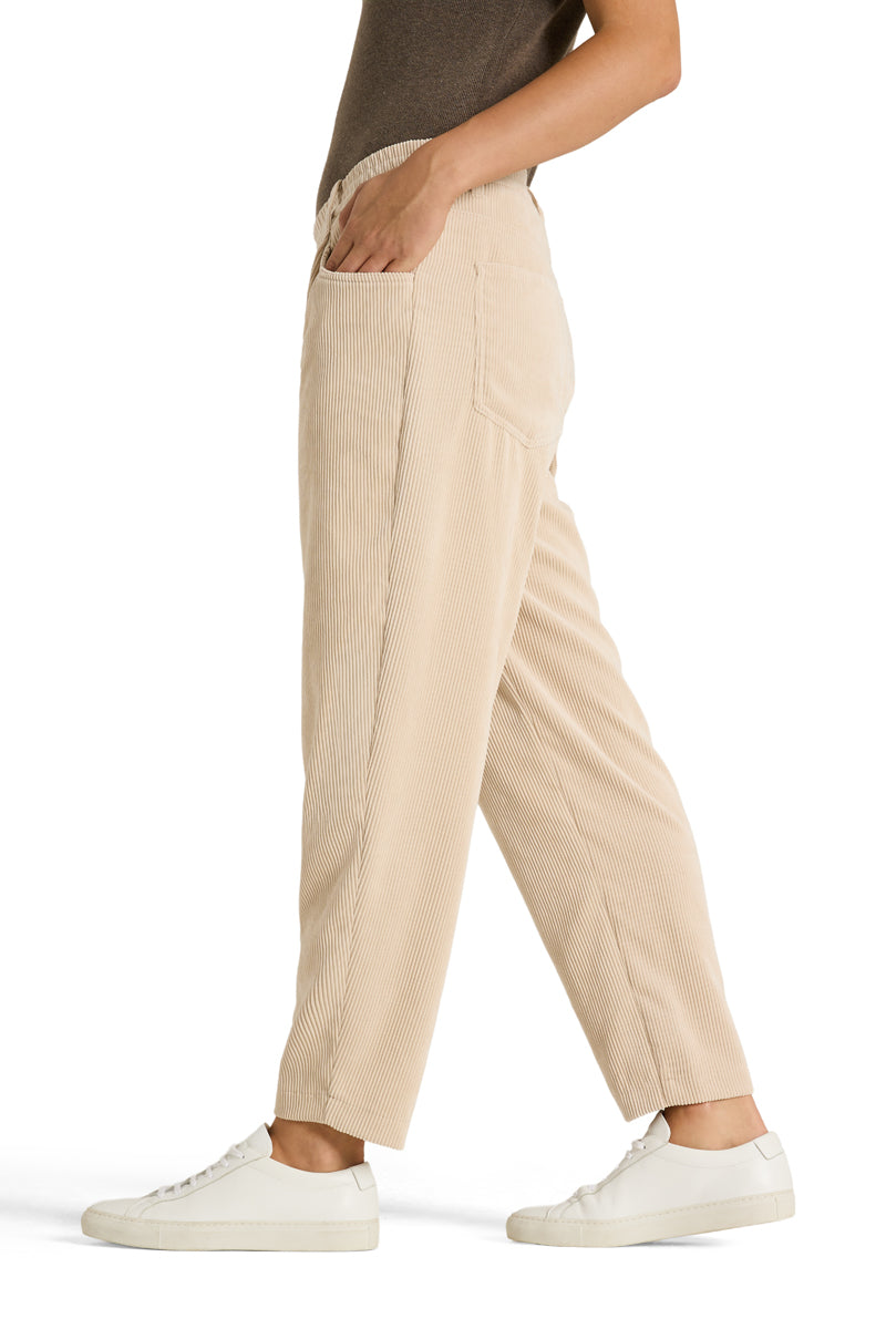 Barrel Cordhose Orchid