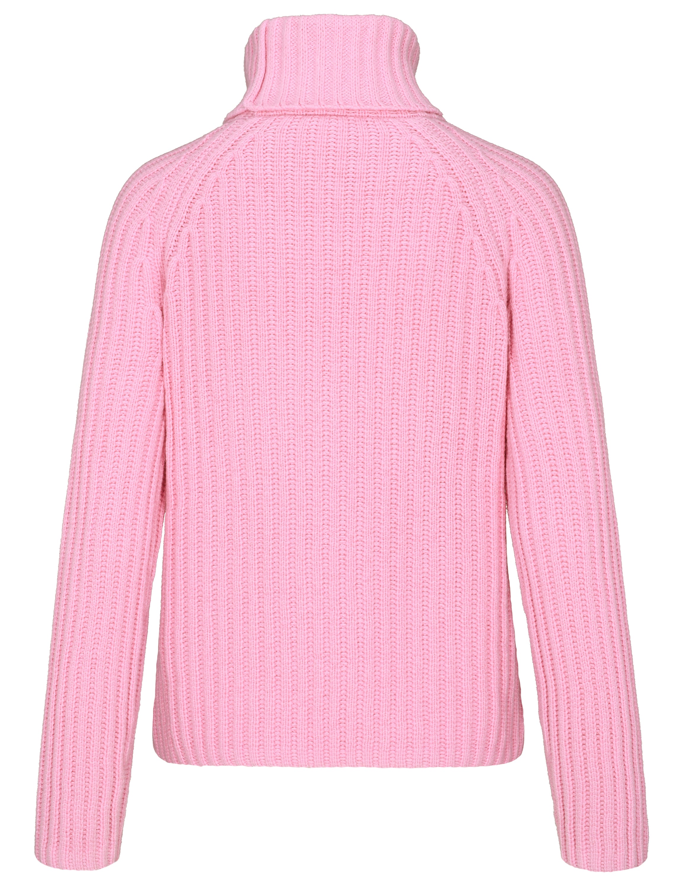 Rib Turtleneck knitted