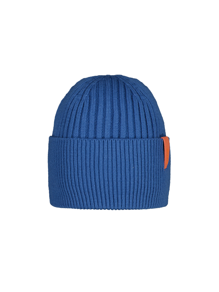 Arlinkton Beanie