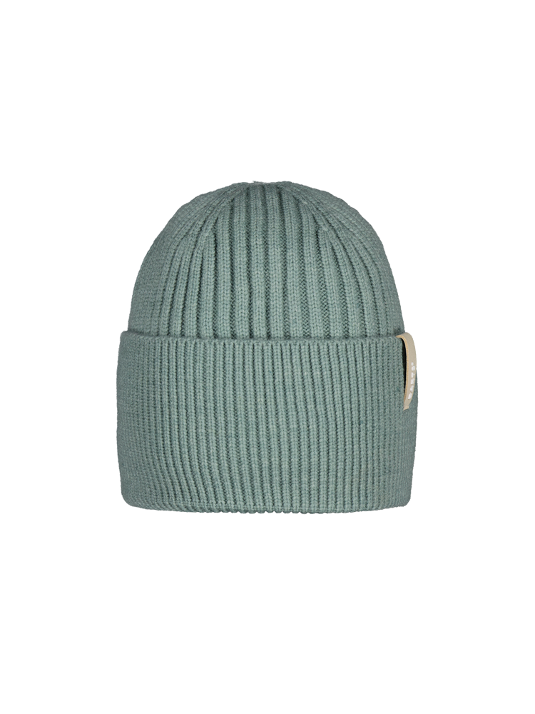 Arlinkton Beanie