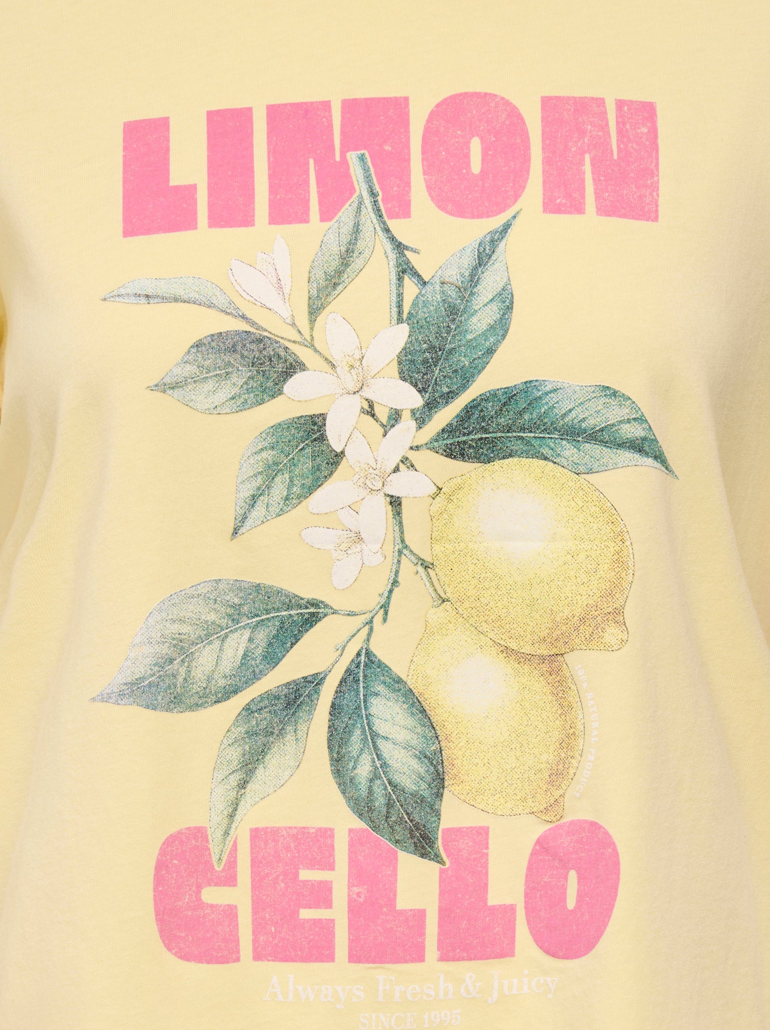 Only T-Shirt ONLLUCY