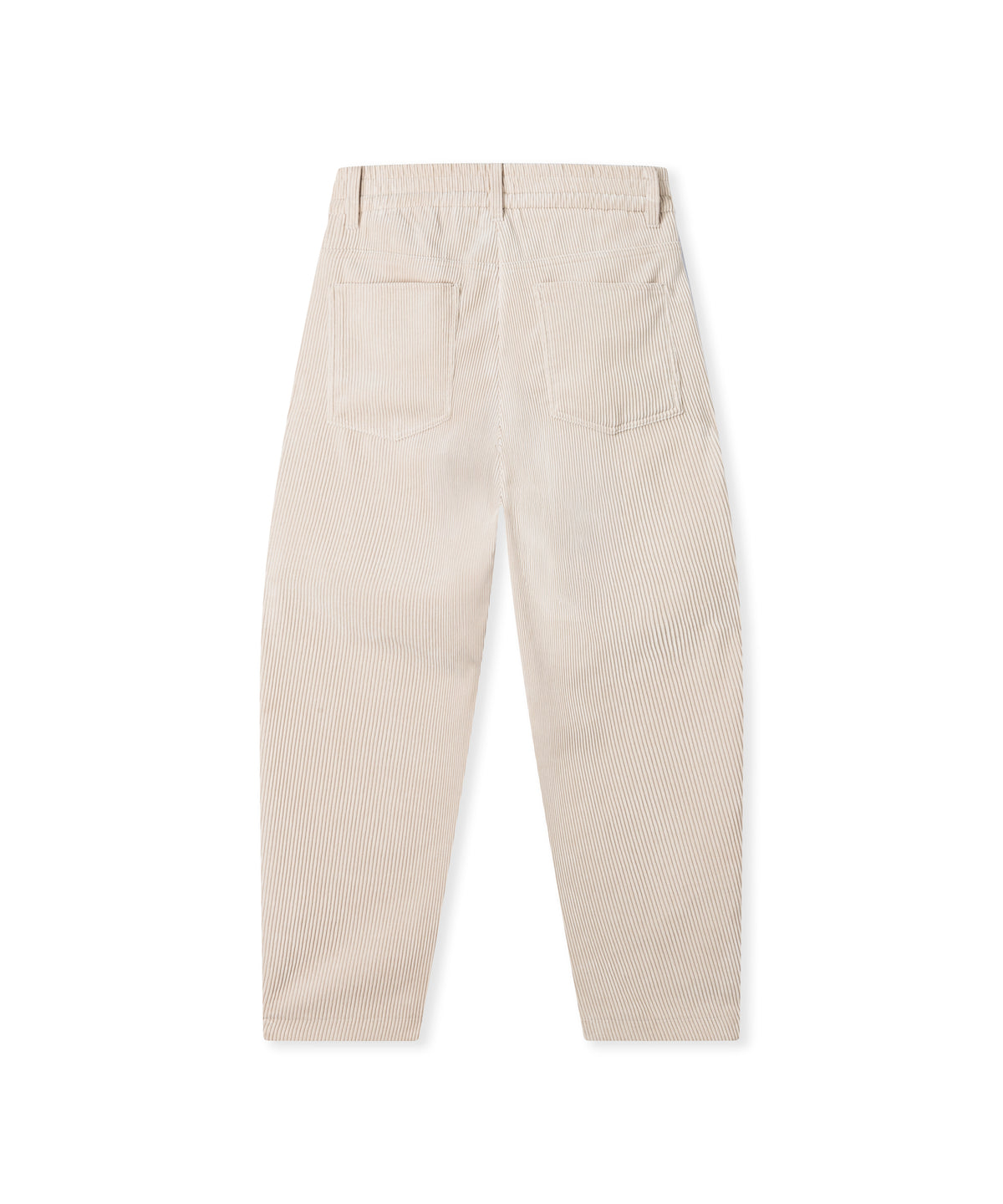 Barrel Cordhose Orchid