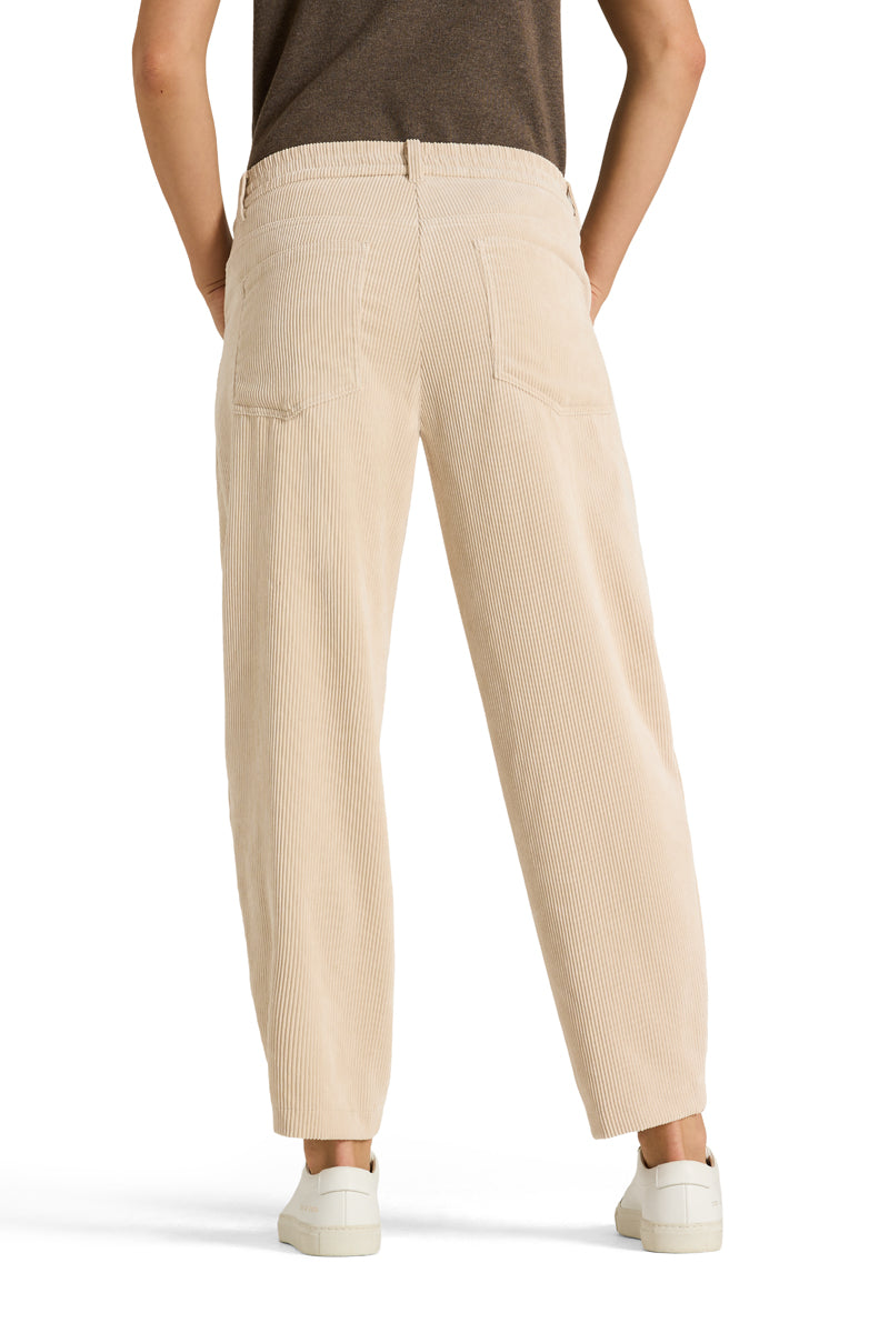 Barrel Cordhose Orchid